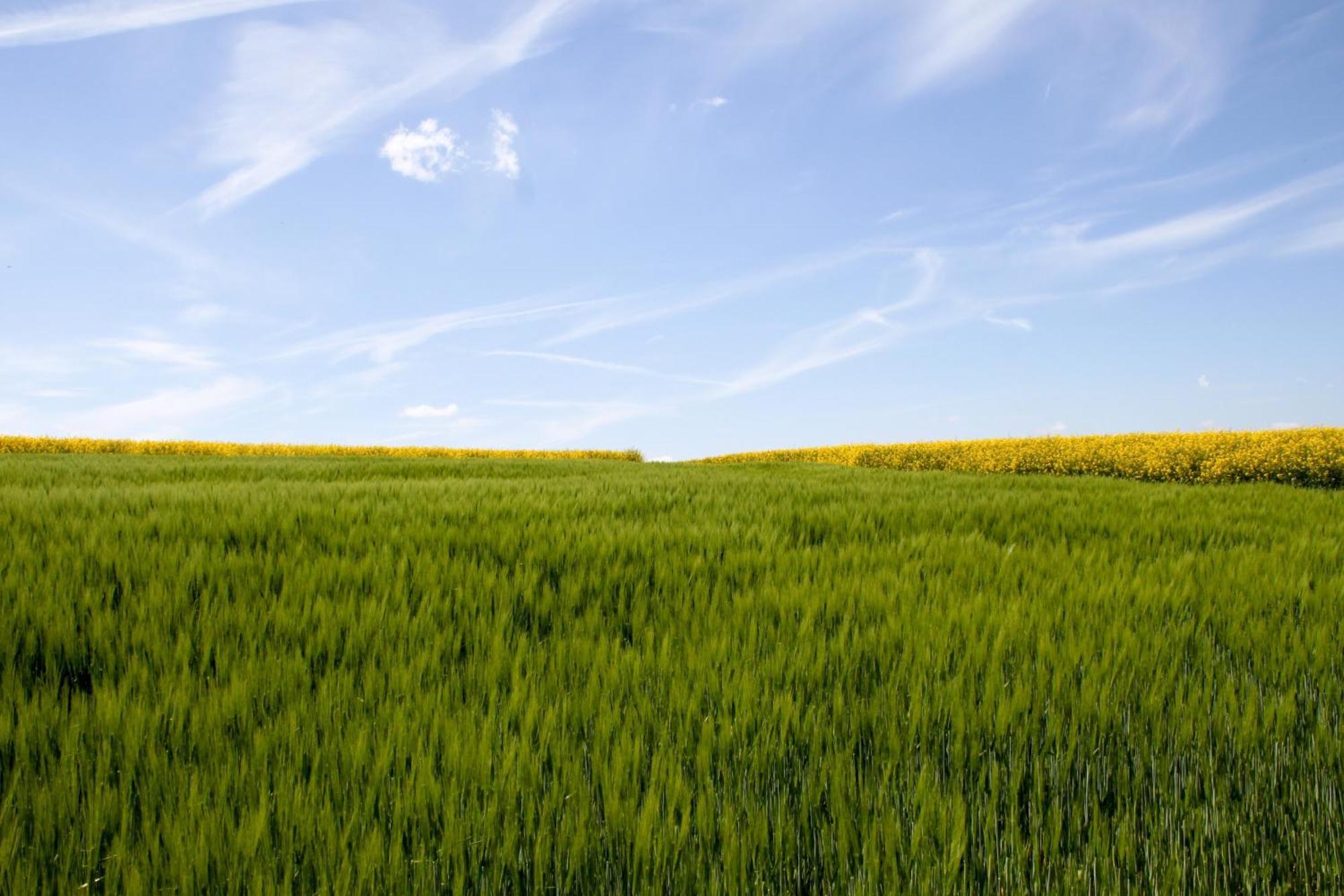Landgasthof Zur Post Zilshausen Bagian luar foto